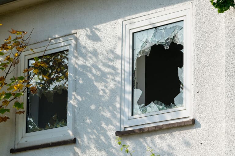 Window Install