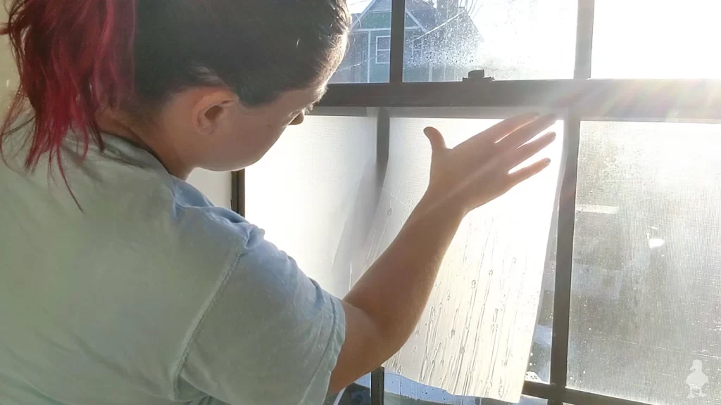Window Firm